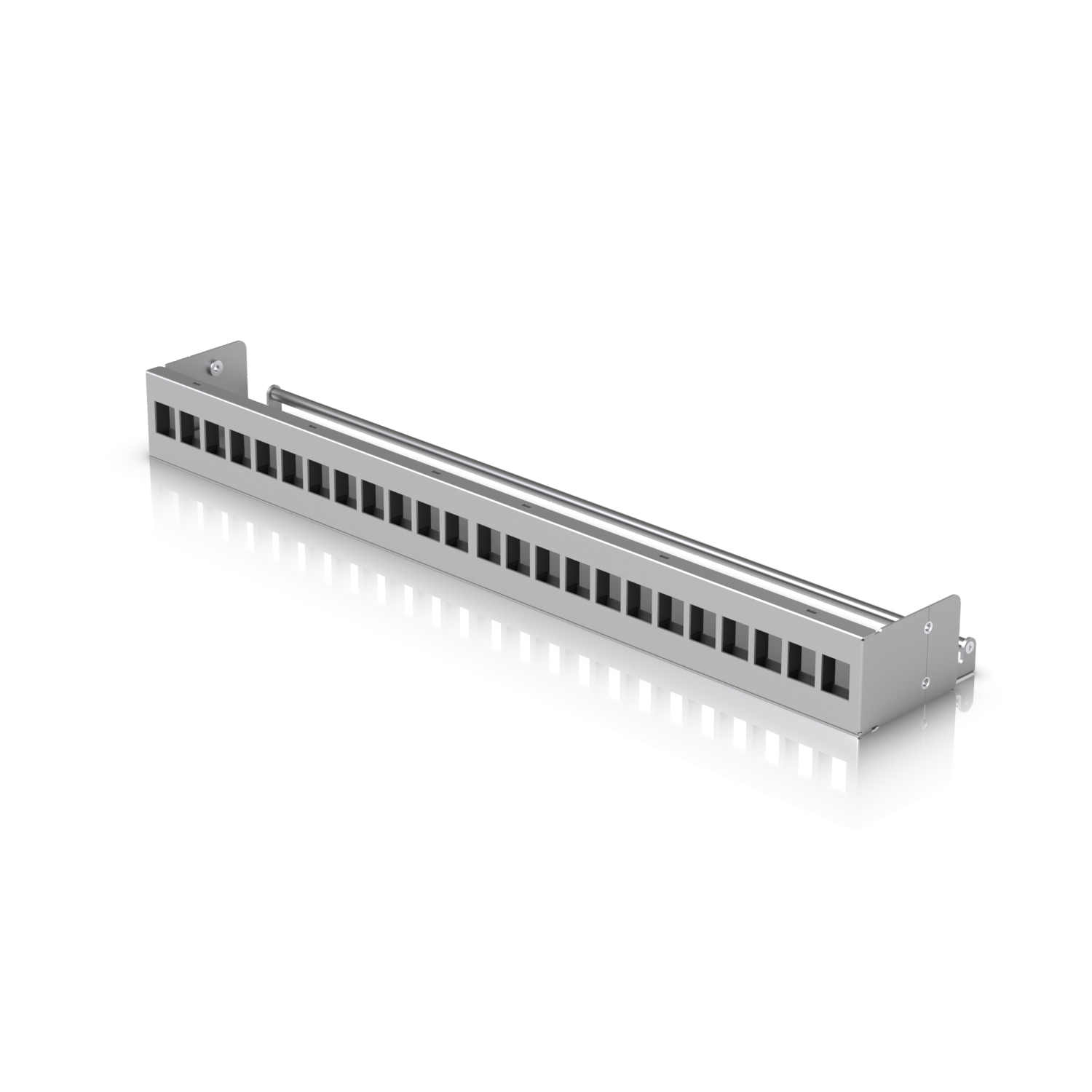 1× 24-port blank patch panel